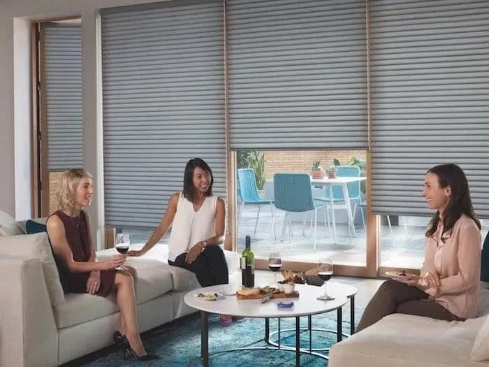 Blue-grey cellular roller shades lowered on patio windows, one raised over the door to the patio, while three women chat over wine in the living room