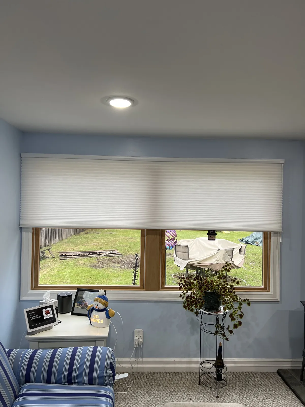 White cellular shade half-raised on a wide wood-framed window in a light blue family room, with a plant stand and the back garden outside